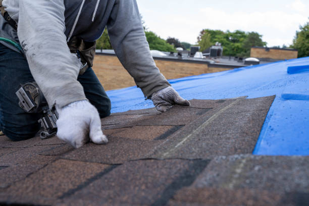 Roof Gutter Cleaning in Saxapahaw, NC
