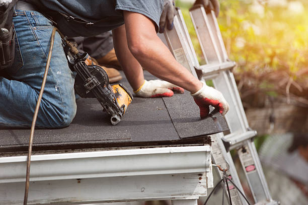 Best Storm Damage Roof Repair  in Saxapahaw, NC